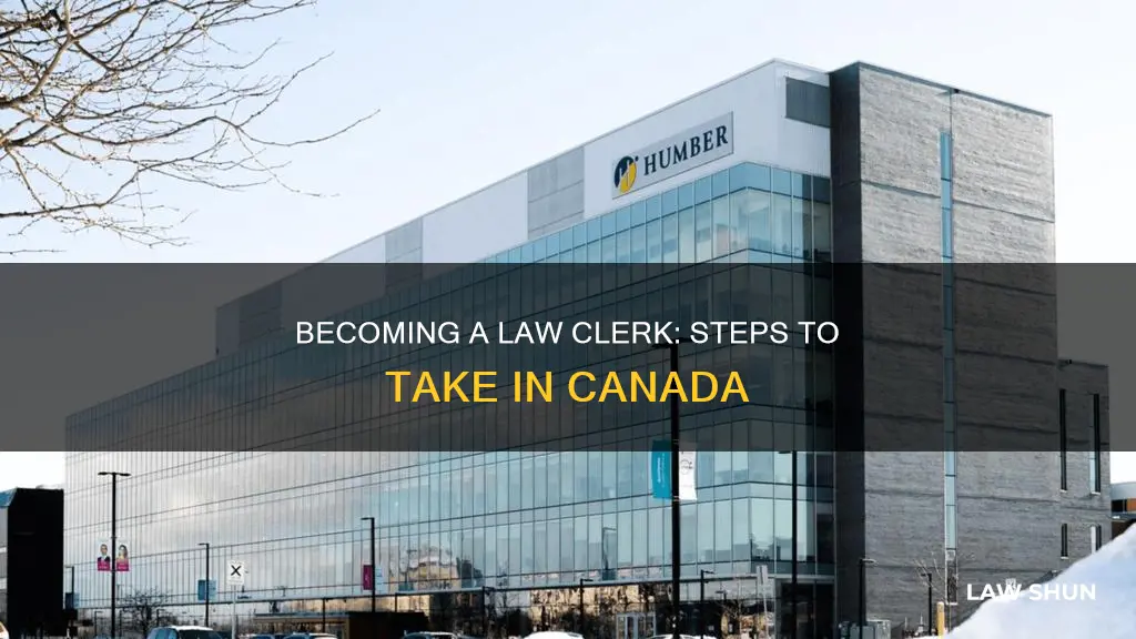how to become a law clerk canada