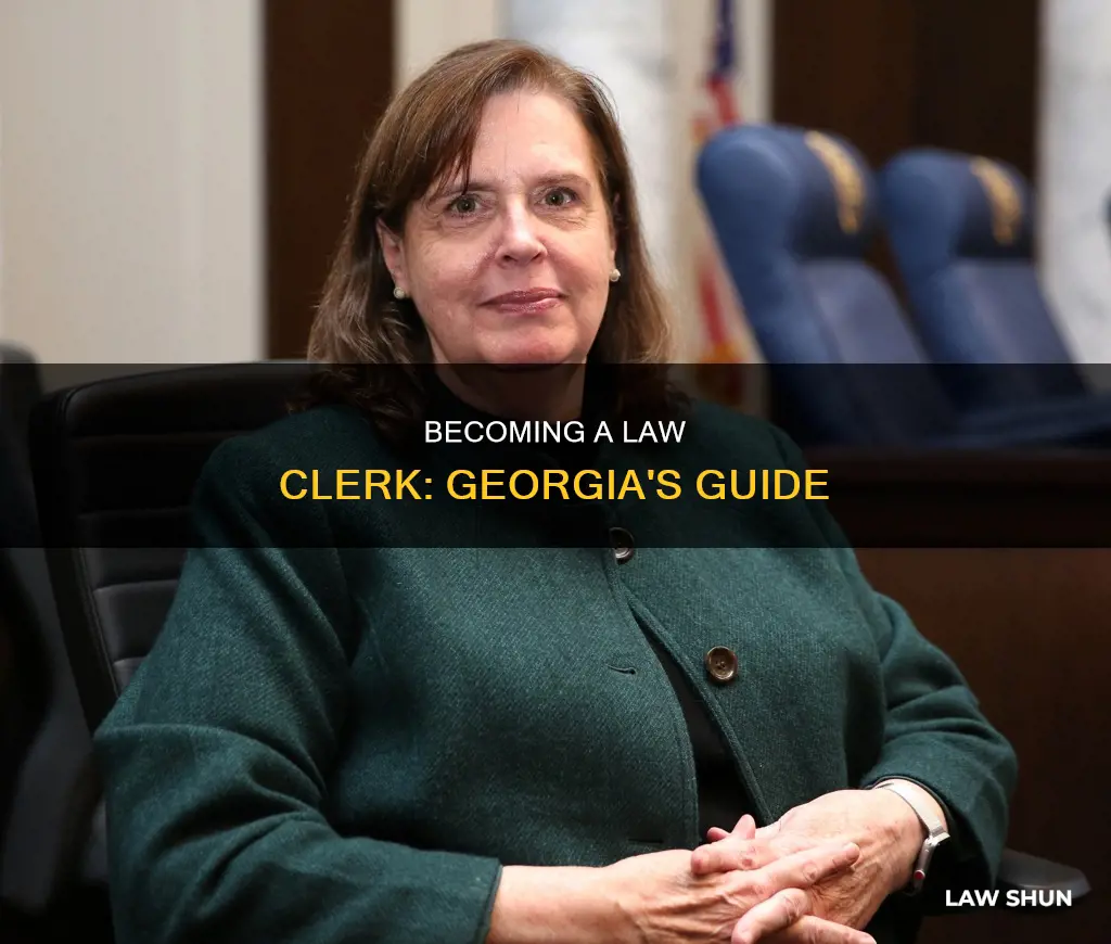 how to become a law clerk in georgia