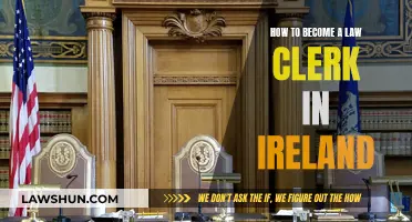 Becoming a Law Clerk in Ireland: A Practical Guide