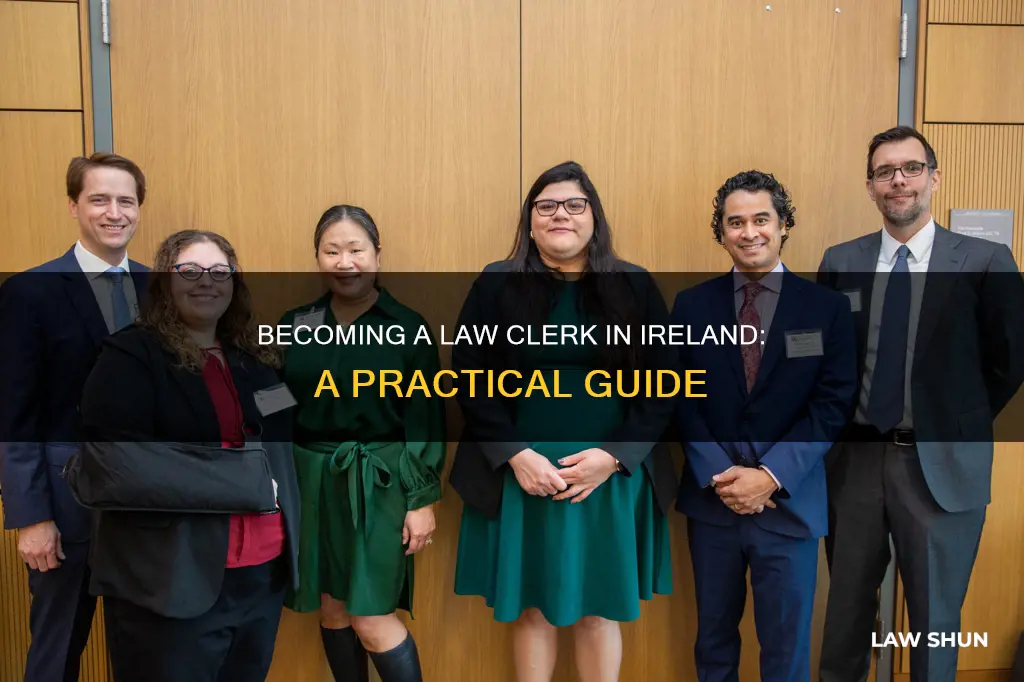 how to become a law clerk in ireland