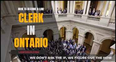 Becoming a Law Clerk: Steps to Take in Ontario