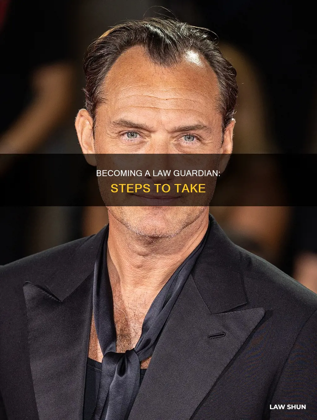 how to become a law guardian