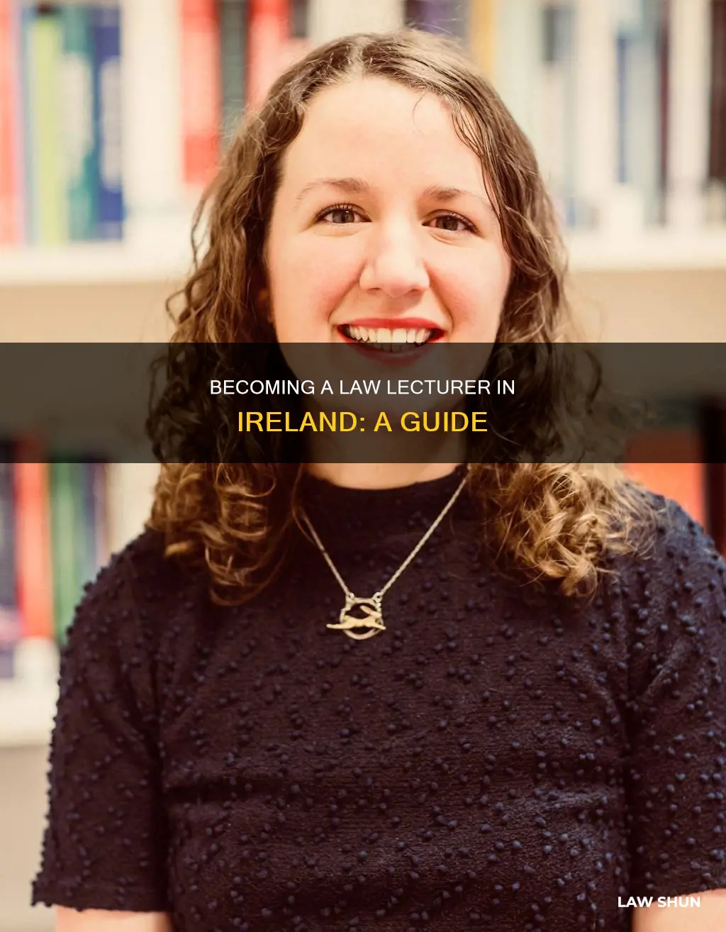 how to become a law lecturer in ireland