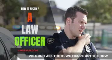 Becoming a Law Officer: Steps to Take