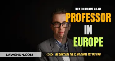 Becoming a Law Professor in Europe: A Guide