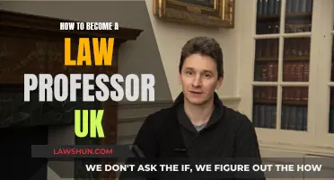 Becoming a Law Professor in the UK: A Guide