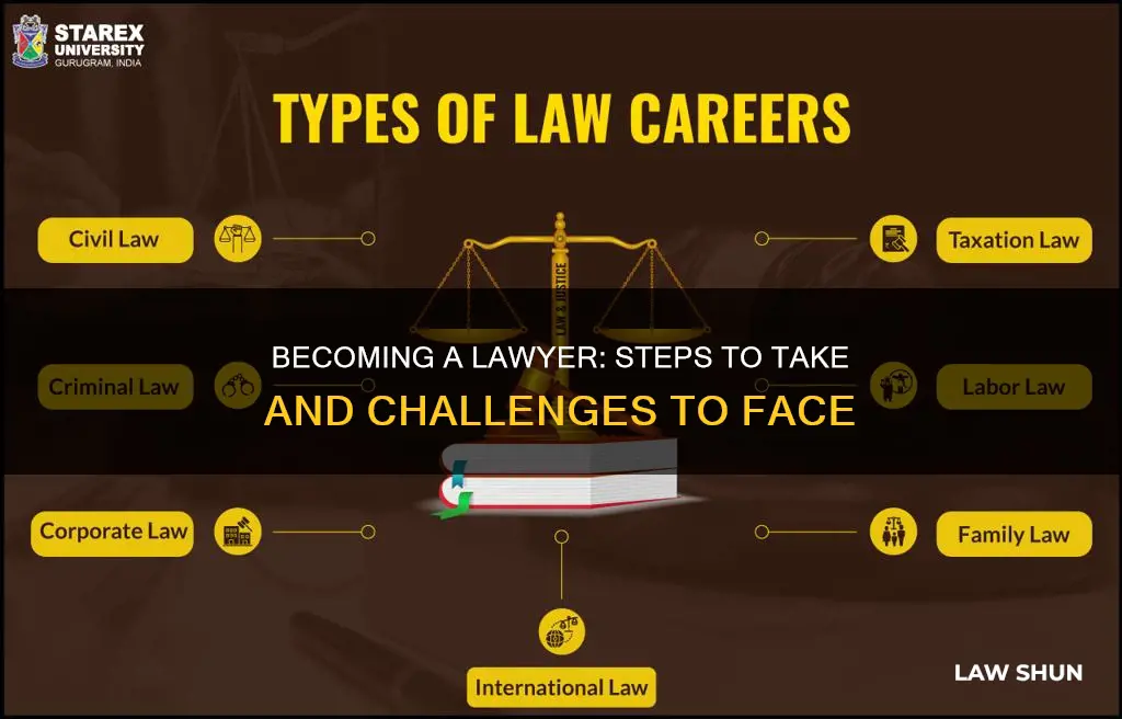 how to become a lawer