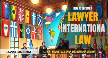 International Law: Steps to Becoming a Lawyer