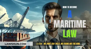 Becoming a Maritime Lawyer: A Guide to Success