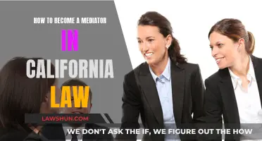 Mediator in California Law: Steps to Success