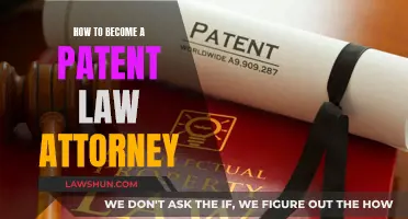 Becoming a Patent Law Attorney: Steps to Success