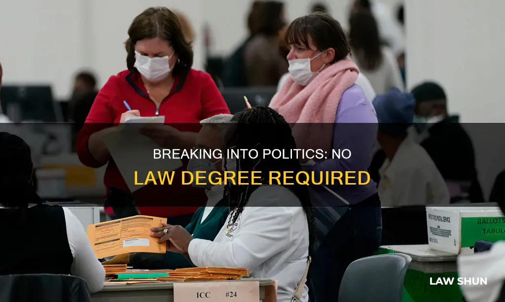 how to become a politician without a law degree