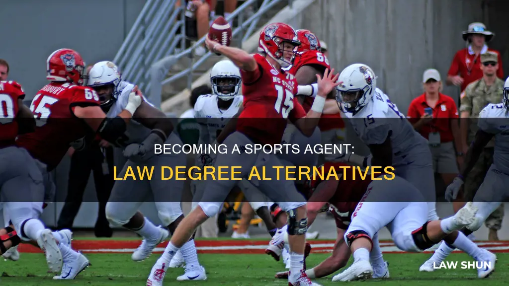 how to become a sports agent without a law degree