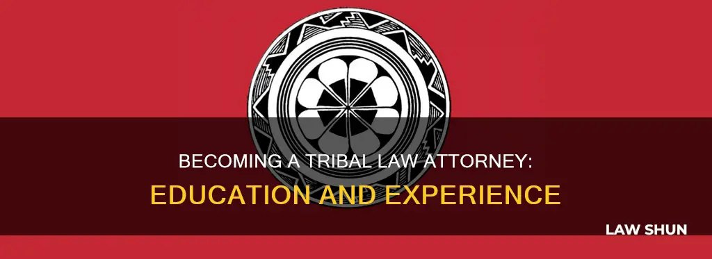 how to become a tribal law attorney