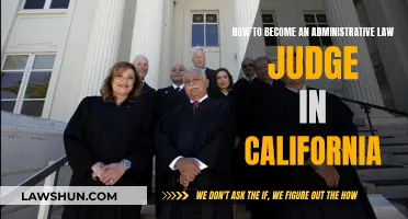 Becoming an Administrative Law Judge in California: A Guide