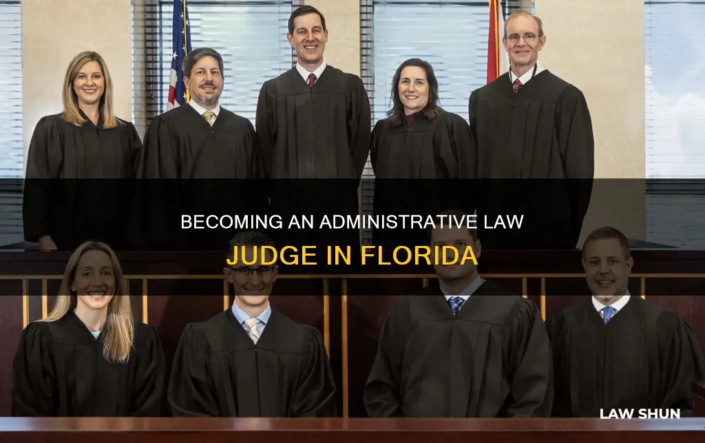 how to become an administrative law judge in florida