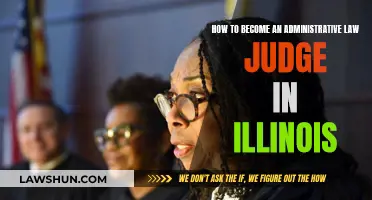 Becoming an Administrative Law Judge in Illinois: A Guide