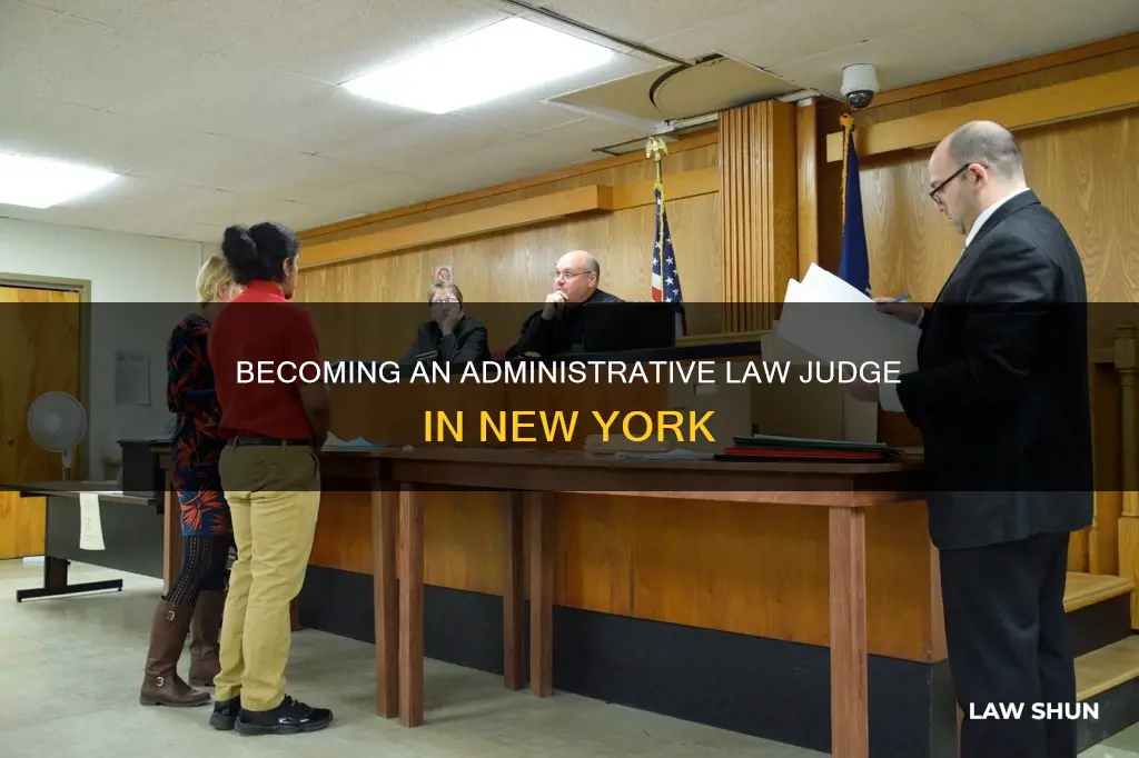 how to become an administrative law judge in ny