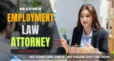 Becoming an Employment Law Attorney: Key Steps