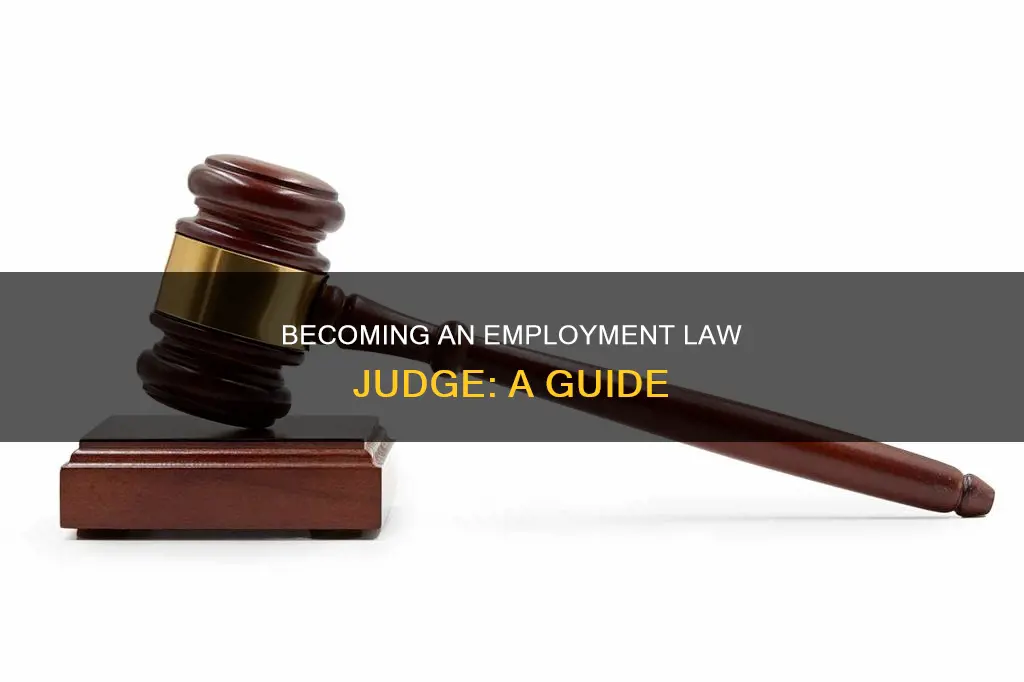 how to become an employment law judge