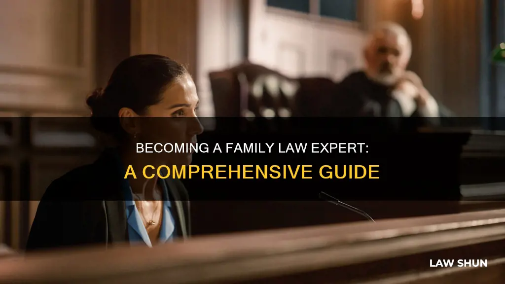 how to become an expert at family law