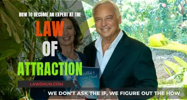 Mastering the Law of Attraction: A Guide to Success