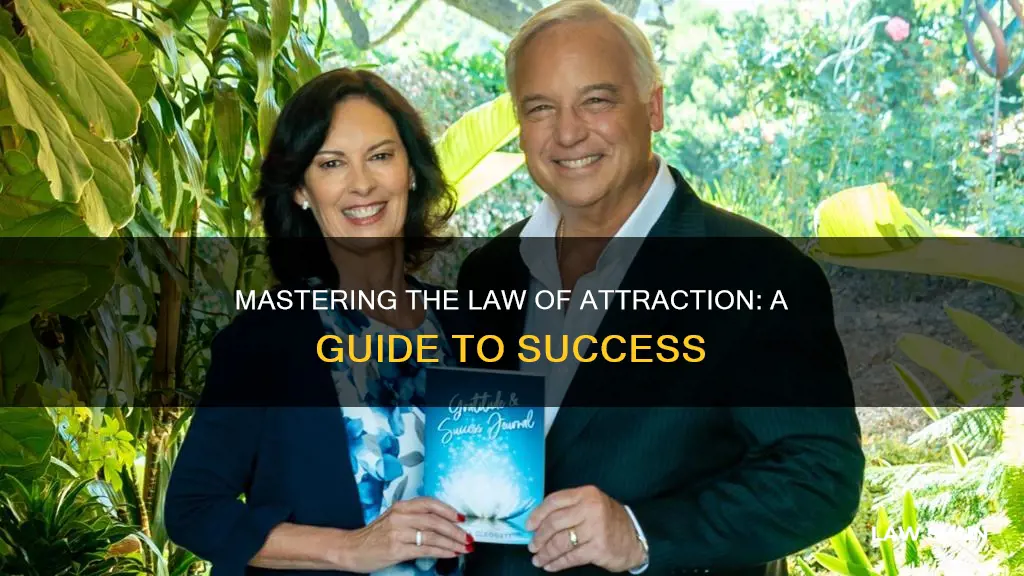 how to become an expert at the law of attraction