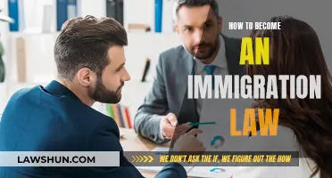 Immigration Law: Your Guide to Becoming an Immigration Lawyer