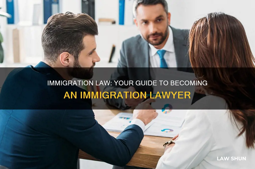 how to become an immigration law