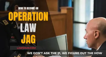 Becoming a JAG Officer: A Guide to Practicing Operation Law