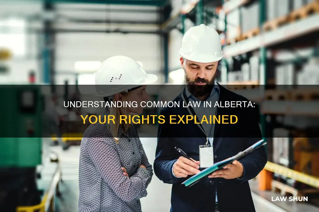 how to become common law in alberta