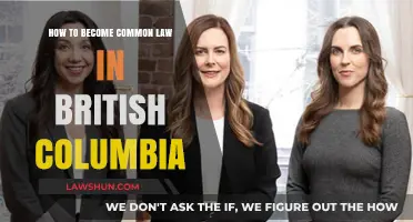 Understanding Common Law in British Columbia