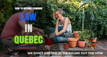 Understanding Quebec's Unique Common-Law Union Rules