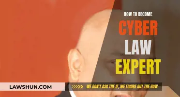 Becoming a Cyber Law Expert: A Comprehensive Guide