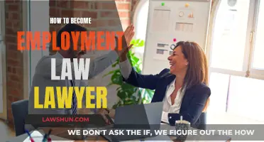 Becoming an Employment Law Lawyer: Steps to Take