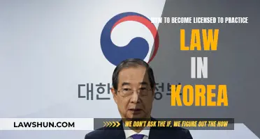 Becoming a Legal Practitioner in South Korea