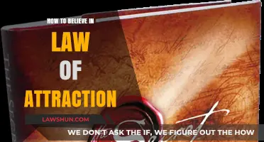 Unlocking Belief: Mastering the Law of Attraction for Success