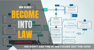 Understanding the Process: Bills to Laws