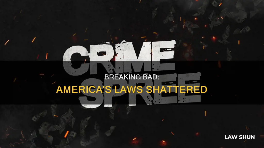 how to break every single law in america