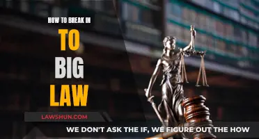 Breaking into Big Law: Strategies for Success