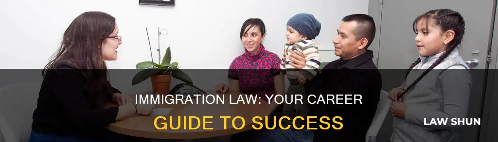 how to break into immigration law