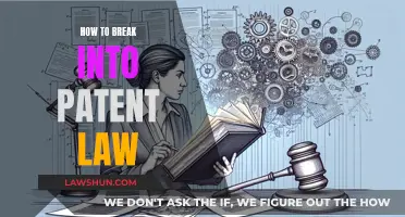 Breaking into Patent Law: A Guide