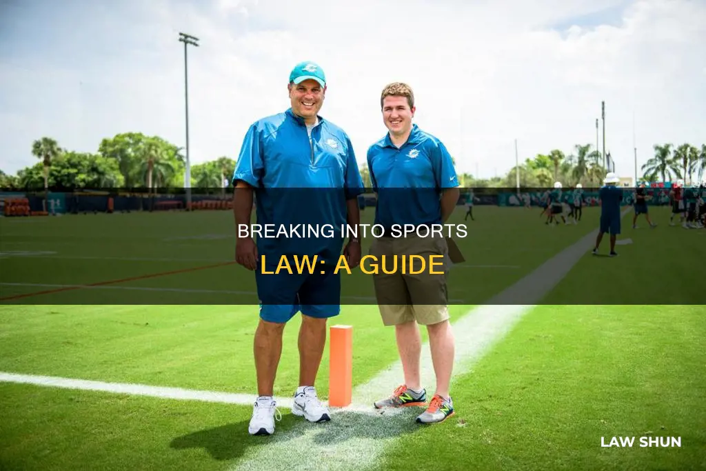 how to break into sports law