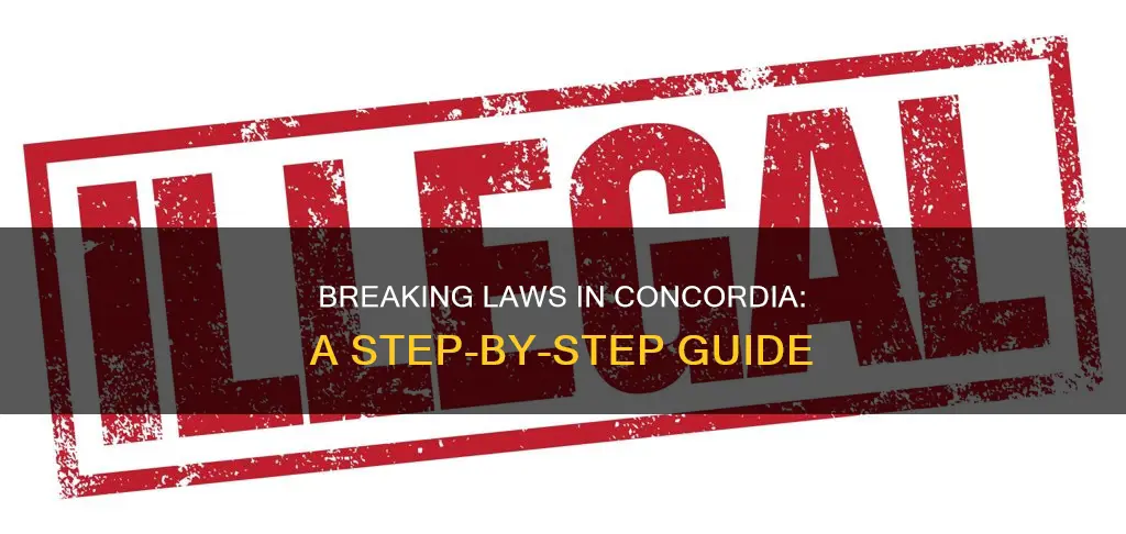 how to break the law in concordia