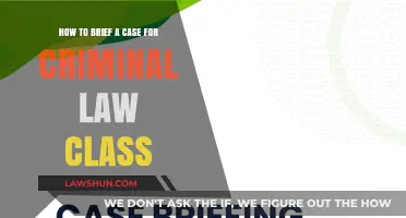 Briefing Cases: Strategies for Criminal Law Students