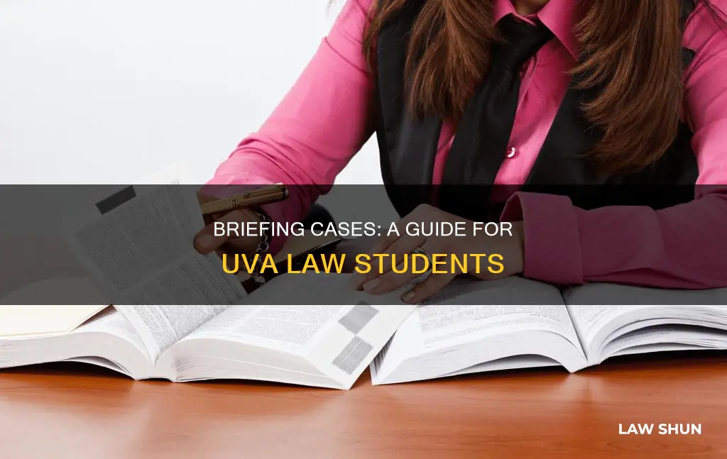 how to brief a case uva law