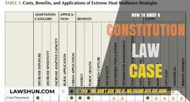 Briefing Constitutional Law Cases: A Step-by-Step Guide
