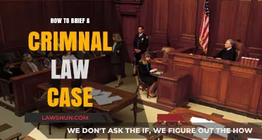 Briefing Criminal Law Cases: A Step-by-Step Guide