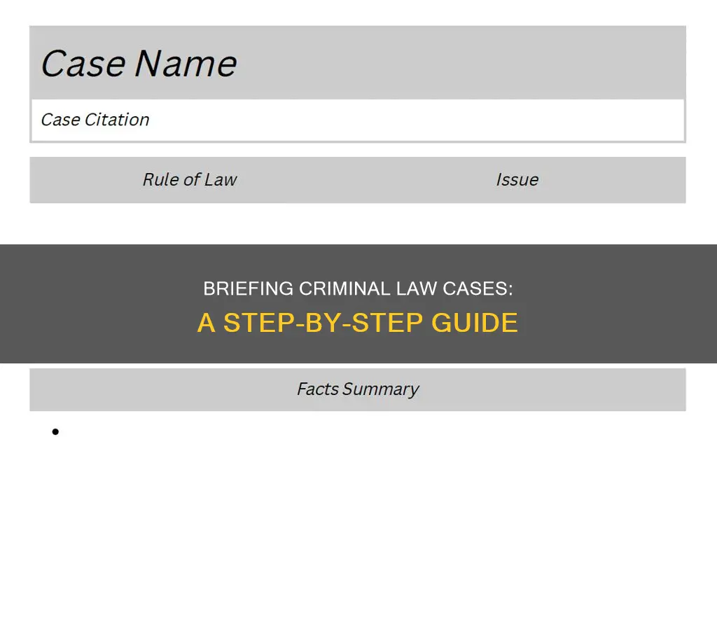 how to brief a crimnal law case