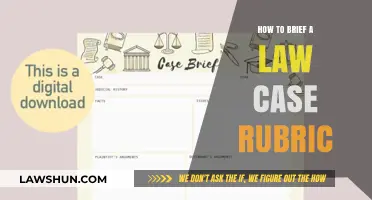 Briefing Law Cases: A Step-by-Step Guide